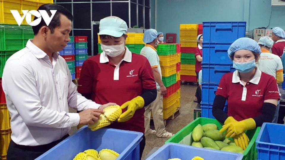Vietnam’s fruit and vegetable exports rebound strongly in June